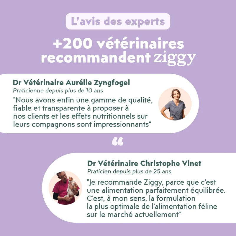Pâtée Chat Adulte Diabète - Porc