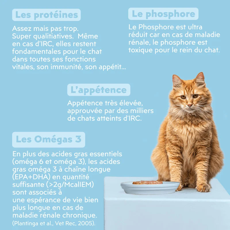 Pâtée Chat Adulte Insuffisance Rénale - Poulet