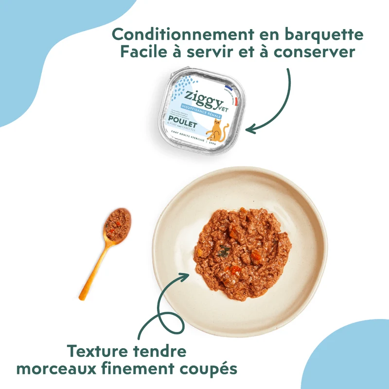 Pâtée Chat Adulte Insuffisance Rénale - Poulet