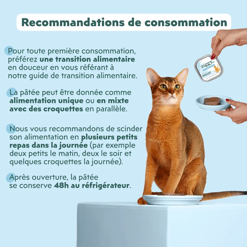 Pâtée Chat Adulte Insuffisance Rénale - Poulet