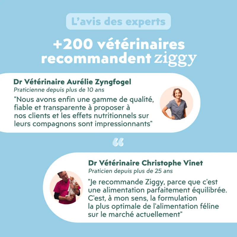Pâtée Chat Adulte Insuffisance Rénale - Poulet