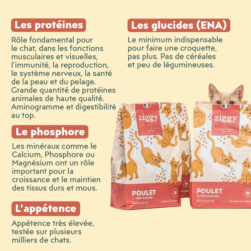 Croquettes Chaton Sans Céréales - Poulet & Huile de Saumon