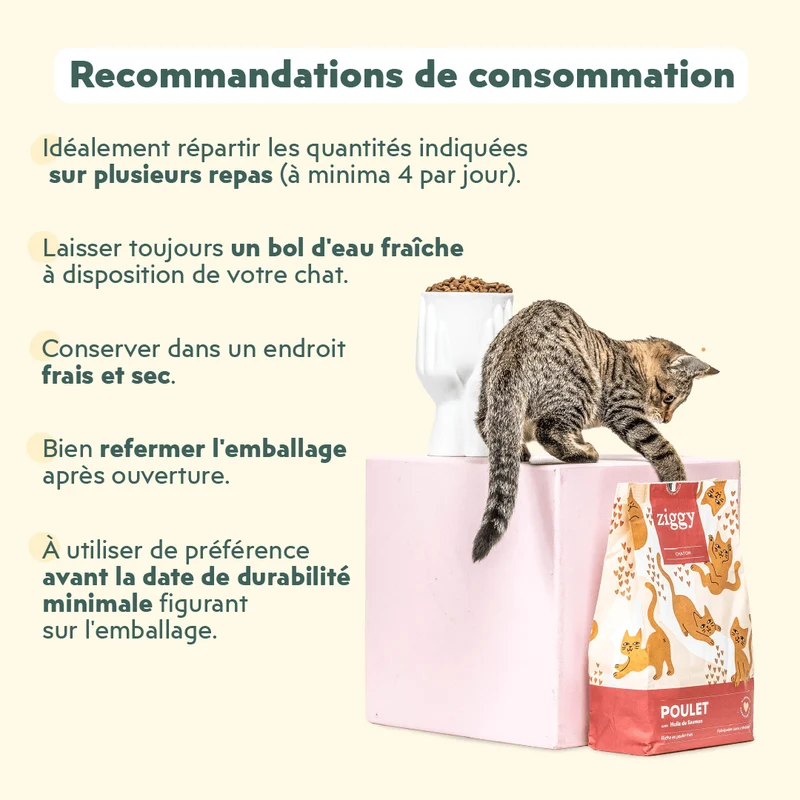 Croquettes Chaton Sans Céréales - Poulet & Huile de Saumon
