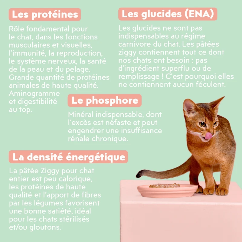 Pâtée Chat Entier Sans Céréales - Boeuf