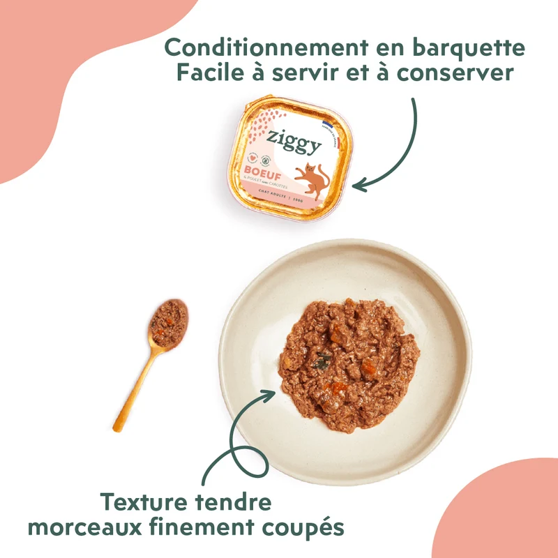 Pâtée Chat Entier Sans Céréales - Boeuf