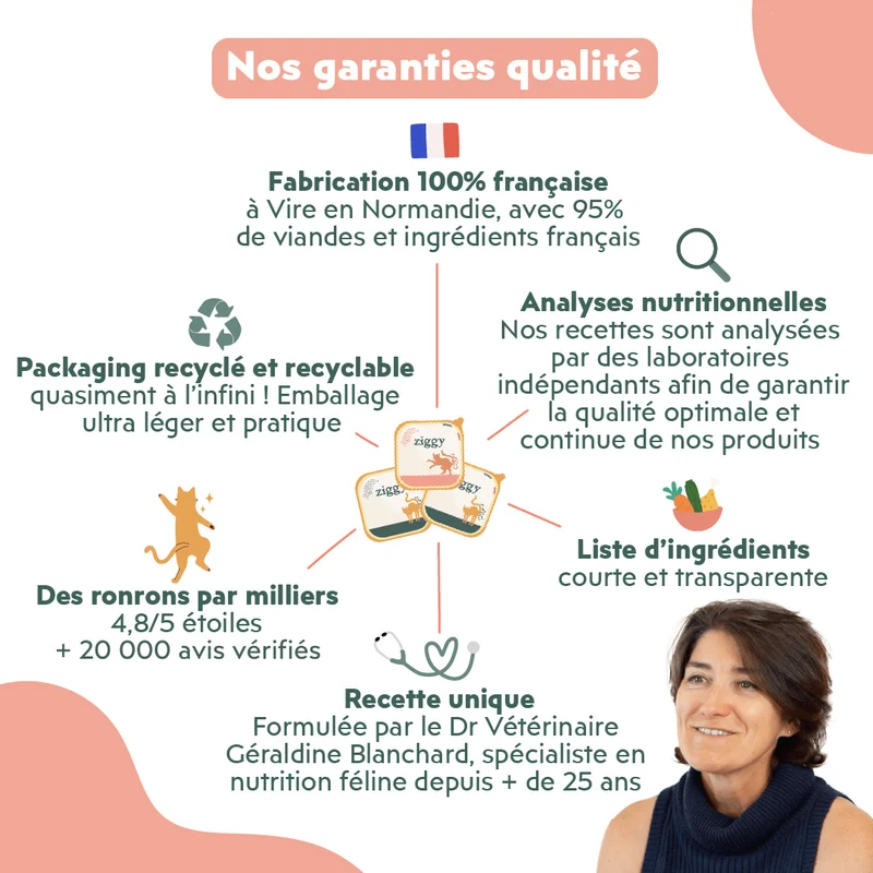 Pâtée Chat Entier Sans Céréales - Boeuf