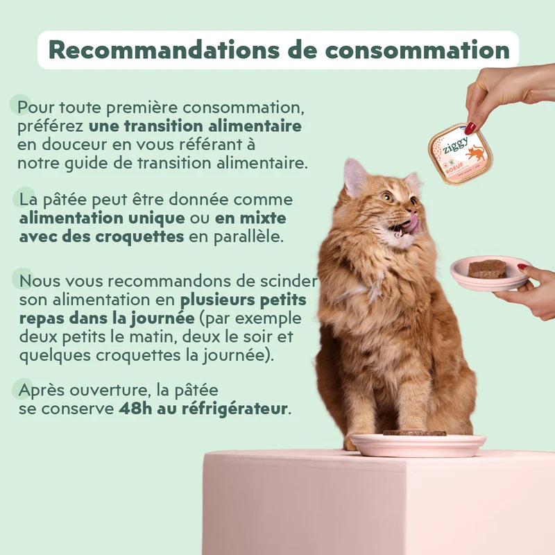 Pâtée Chat Entier Sans Céréales - Boeuf