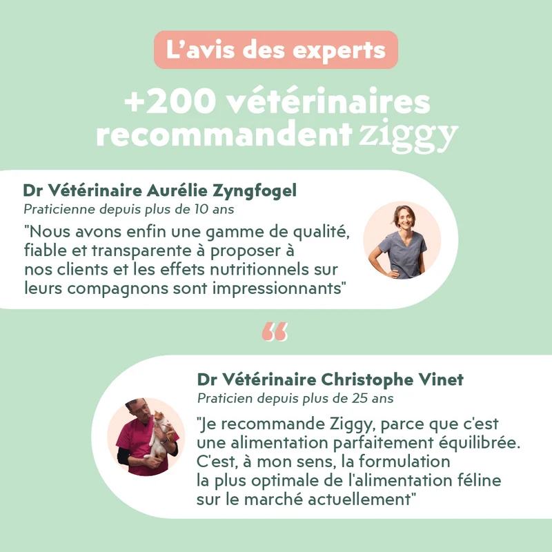 Pâtée Chat Entier Sans Céréales - Boeuf