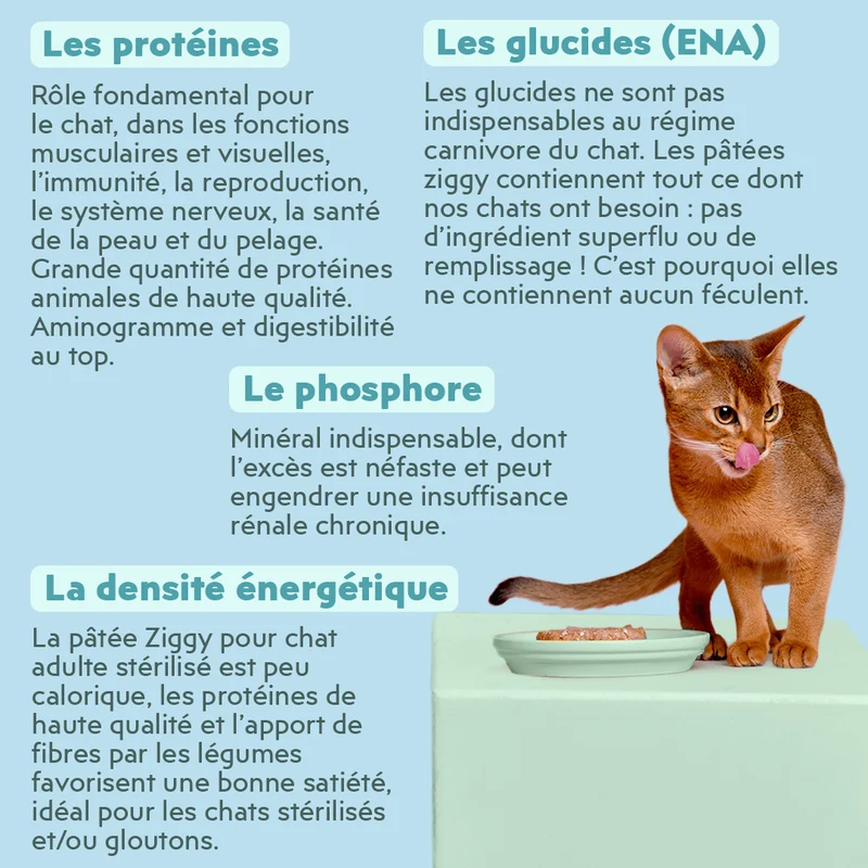 Pâtée Chat Stérilisé Sans Céréales - Saumon