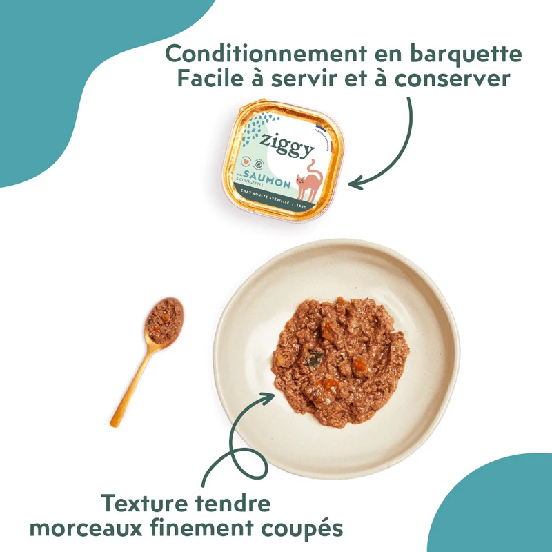 Pâtée Chat Stérilisé Sans Céréales - Saumon