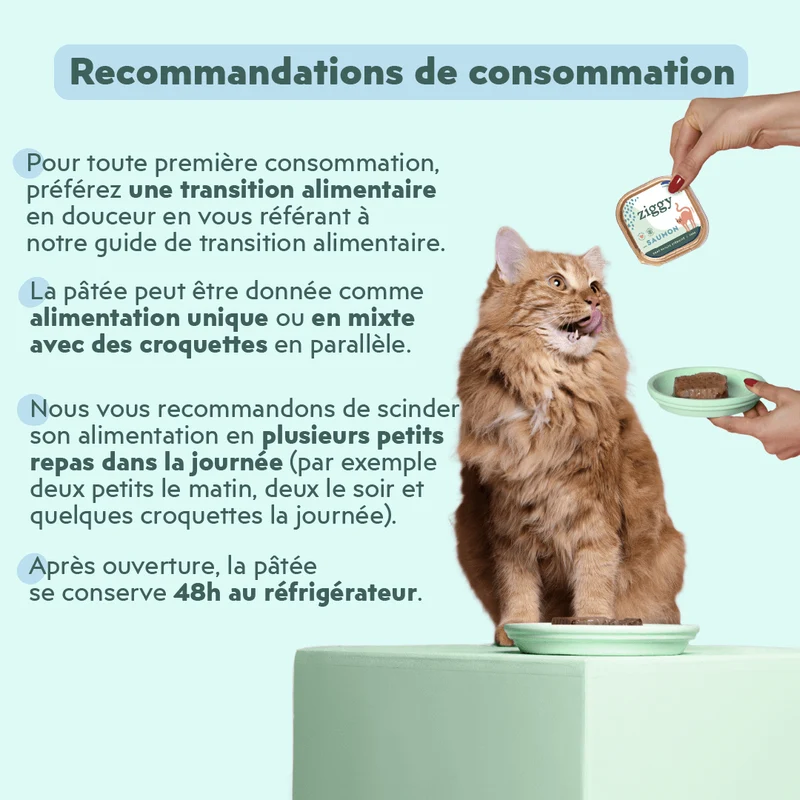 Pâtée Chat Stérilisé Sans Céréales - Saumon