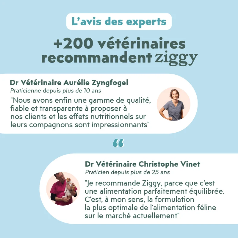 Pâtée Chat Stérilisé Sans Céréales - Saumon
