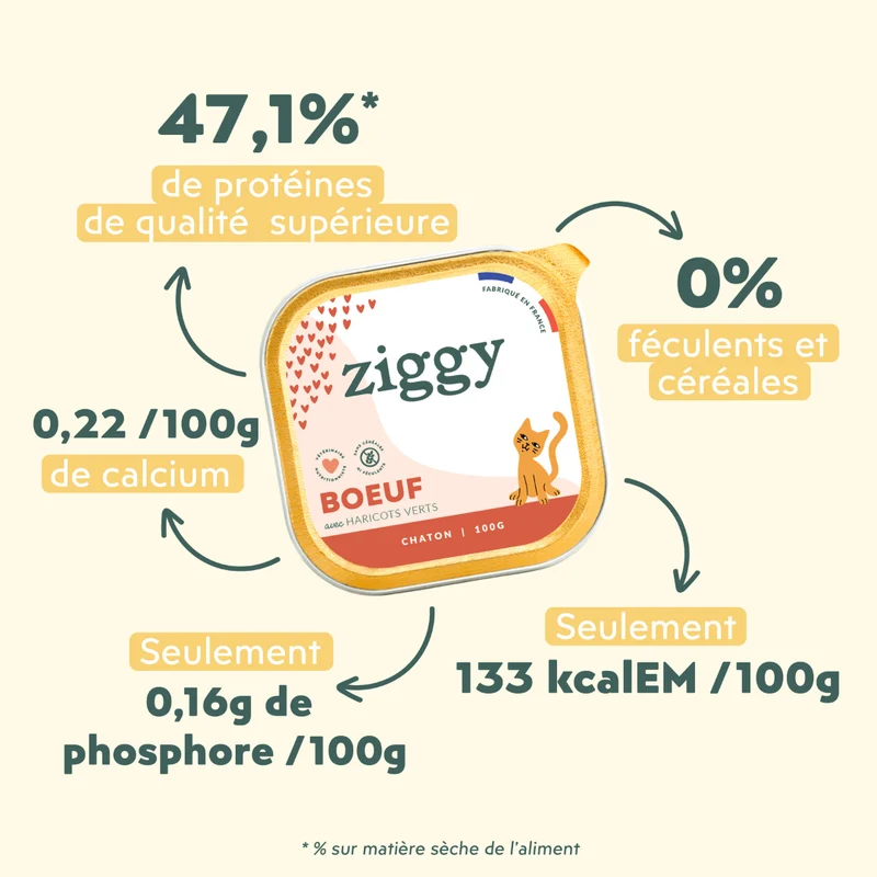 Pâtée Chaton Sans Céréales - Boeuf
