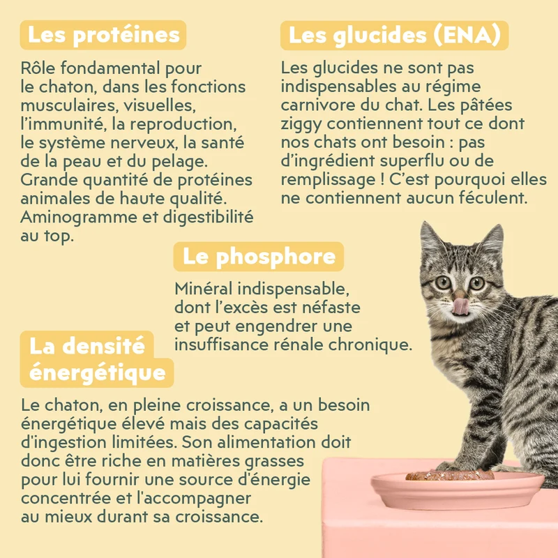 Pâtée Chaton Sans Céréales - Boeuf