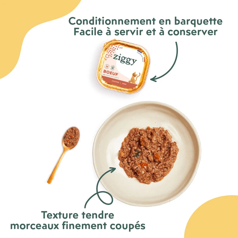 Pâtée Chaton Sans Céréales - Boeuf