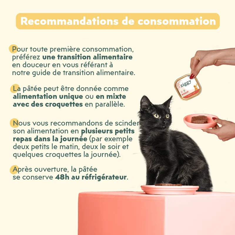 Pâtée Chaton Sans Céréales - Boeuf
