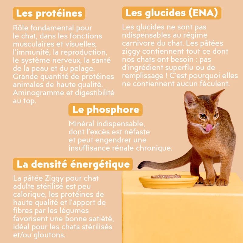 Pâtée Chat Stérilisé Sans Céréales - Poulet