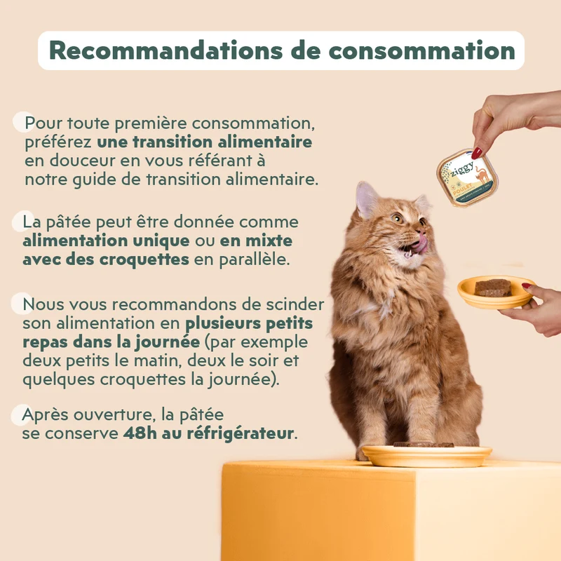 Pâtée Chat Stérilisé Sans Céréales - Poulet