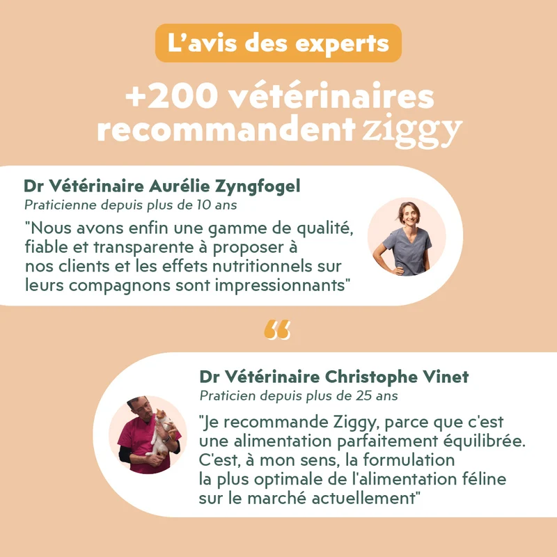 Pâtée Chat Stérilisé Sans Céréales - Poulet