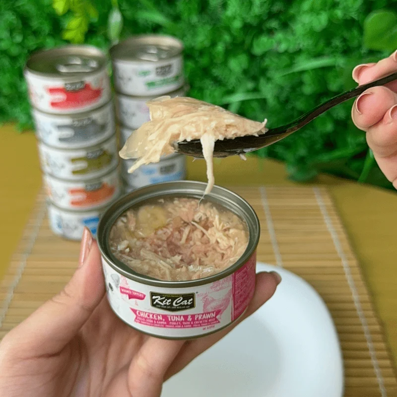 Pollo y Atún con Gambas 80g - Comida húmeda en Gelatina