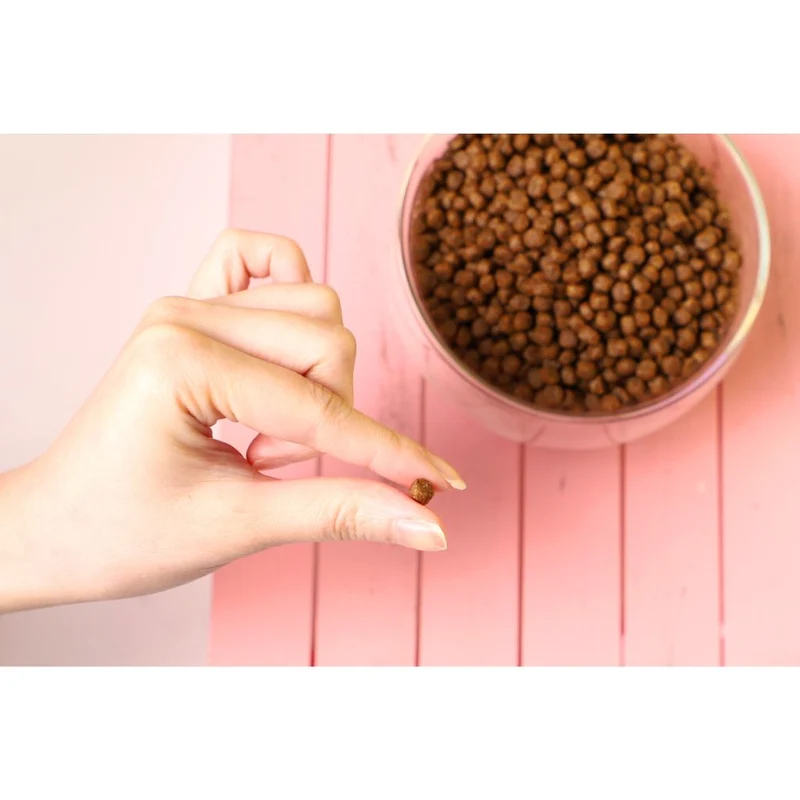 Pollo y Pavo No Grain - Pienso para gatos 1KG - Tracto Urinario
