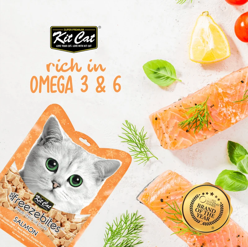 FreezeBites Salmón 15g - Snack Liofilizado