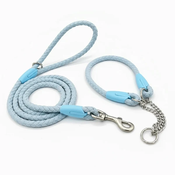 Laisse et collier tressé pour chien robuste et résistant
