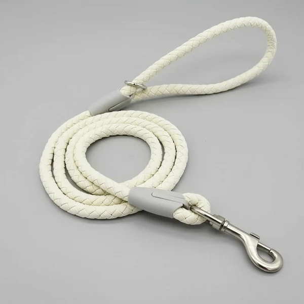 Laisse et collier tressé pour chien robuste et résistant