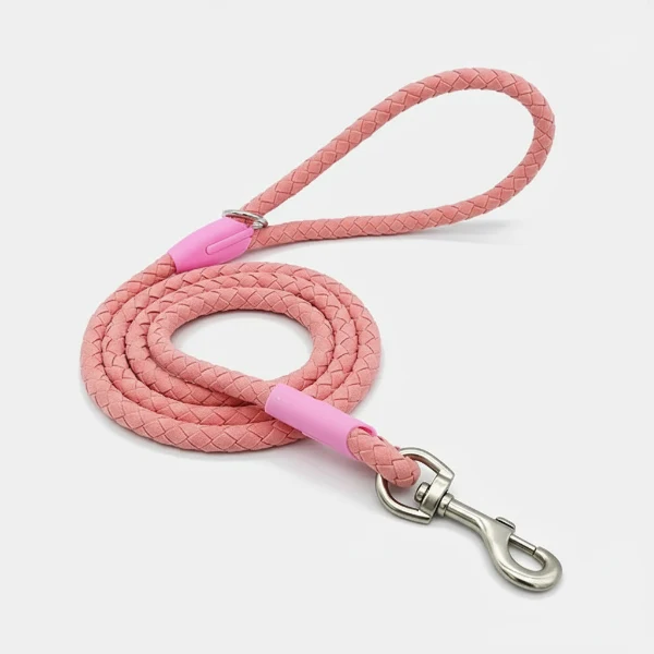 Laisse et collier tressé pour chien robuste et résistant