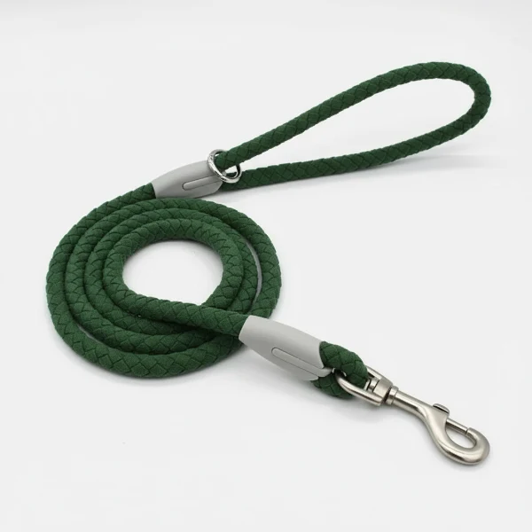 Laisse et collier tressé pour chien robuste et résistant