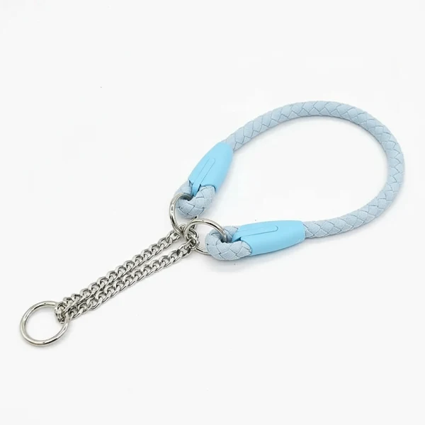 Laisse et collier tressé pour chien robuste et résistant