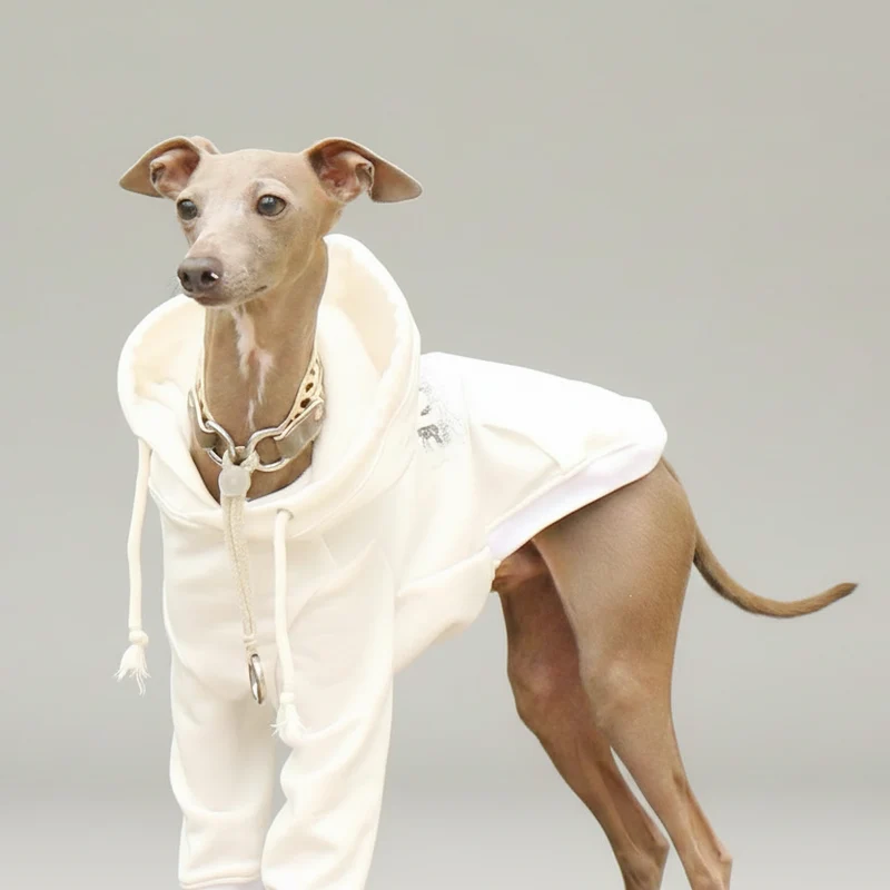 Sweat A Capuche Pour Chien Whippet Et Lévrier