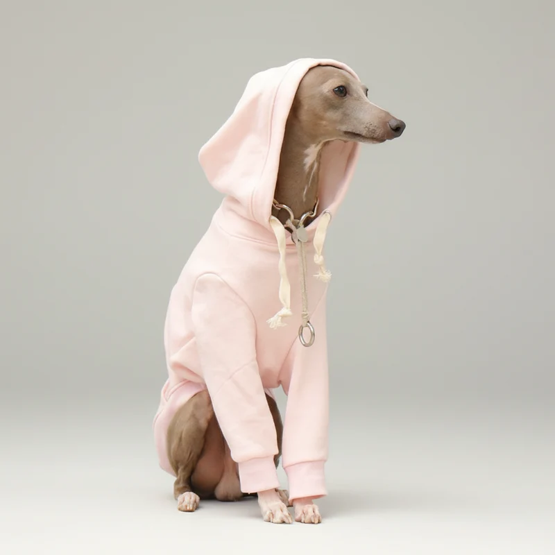 Sweat A Capuche Pour Chien Whippet Et Lévrier