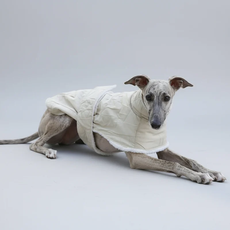 Manteau Doux Pour Chien Lévrier Et Whippet