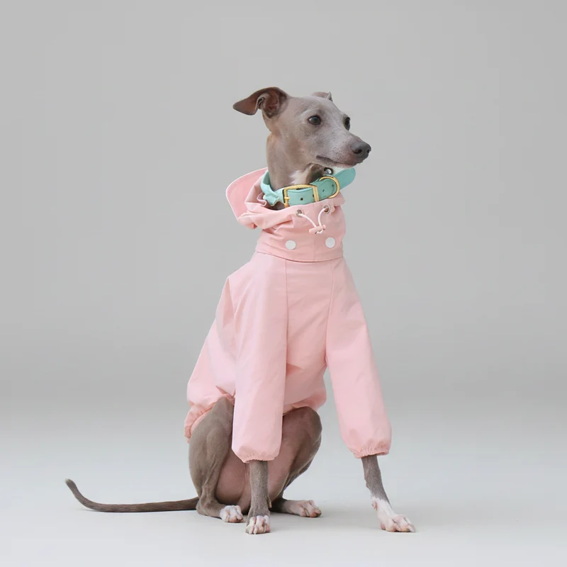 Imperméable Pour Whippet, Lévrier Italien Avec Capuche