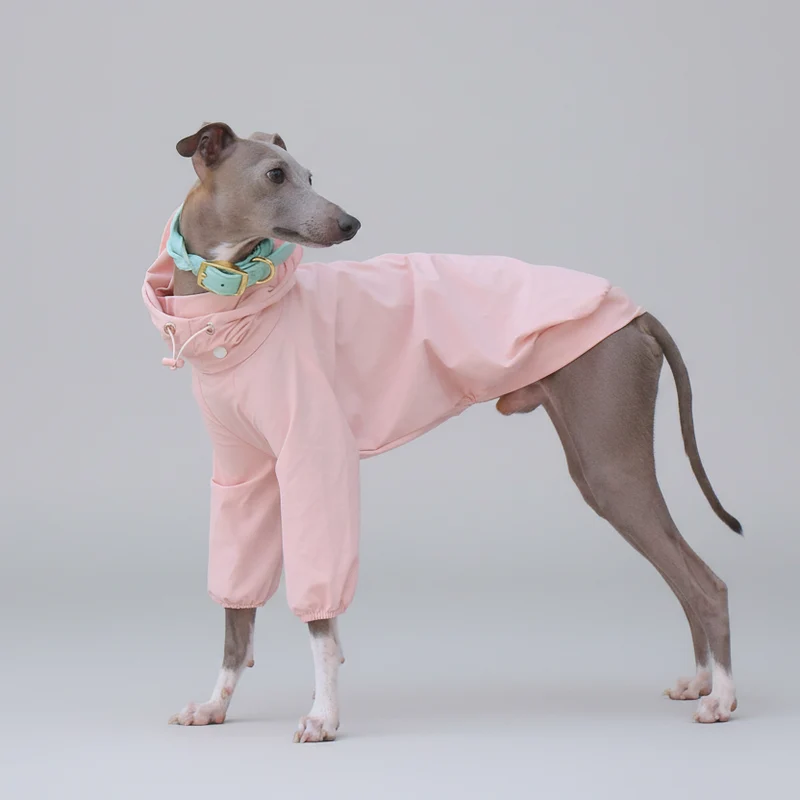 Imperméable Pour Whippet, Lévrier Italien Avec Capuche