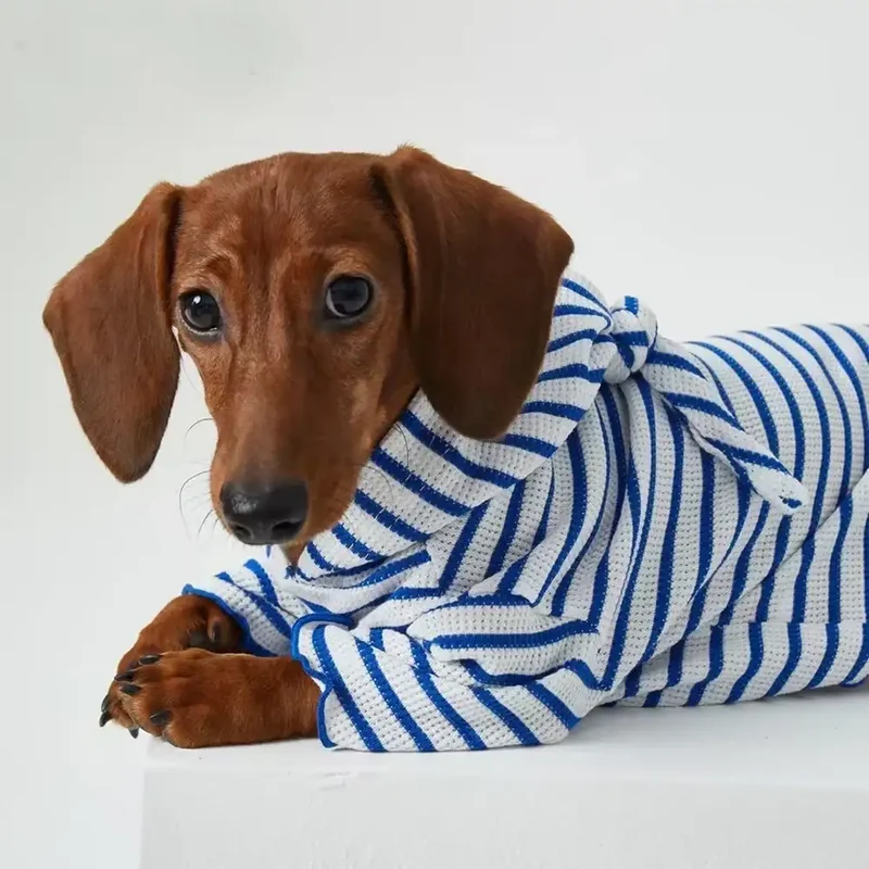 Tee-shirt à Capuche Rayé Pour Chiens Teckel