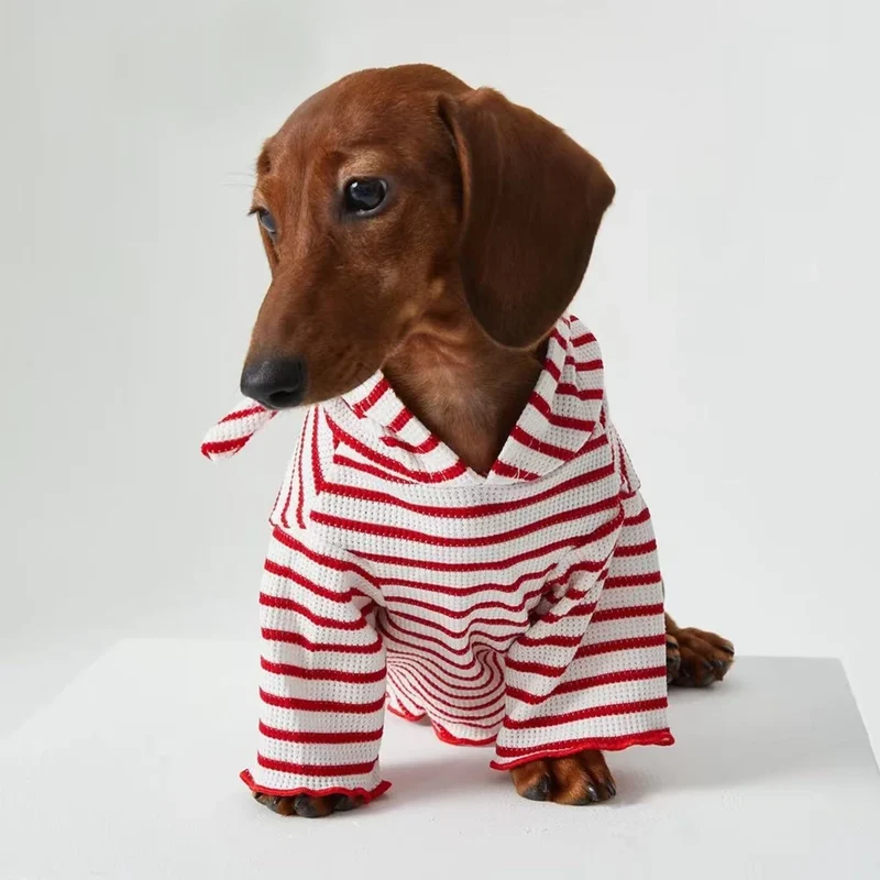 Tee-shirt à Capuche Rayé Pour Chiens Teckel