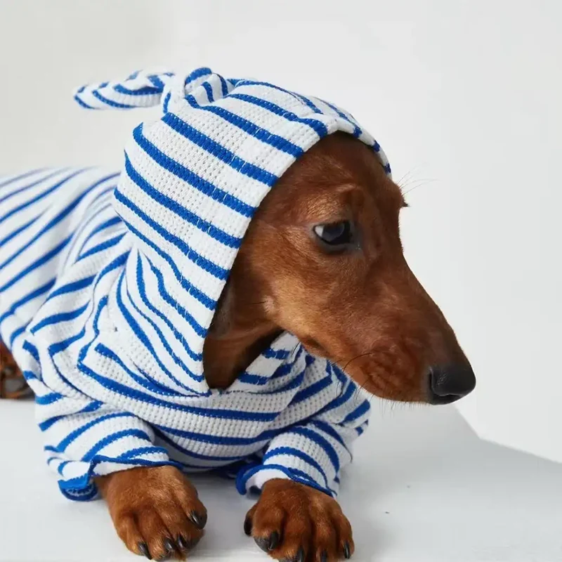 Tee-shirt à Capuche Rayé Pour Chiens Teckel