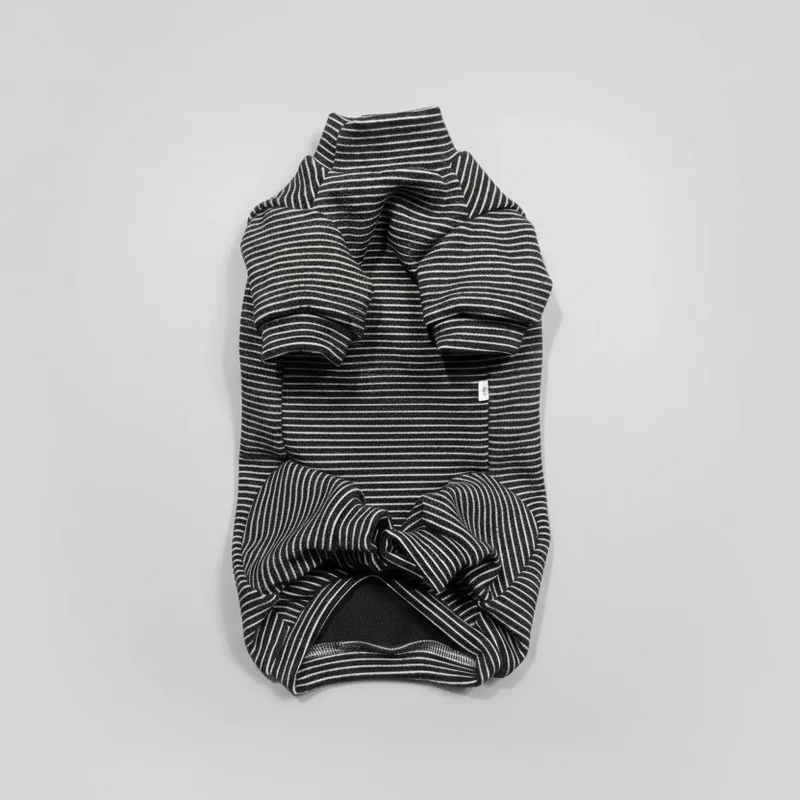 T-Shirt RayéPour Teckel