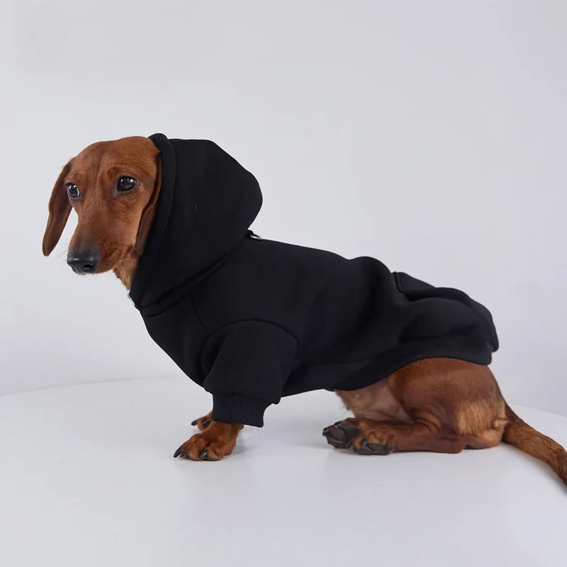 Sweat Coloré A Capuche Pour Chien Teckel