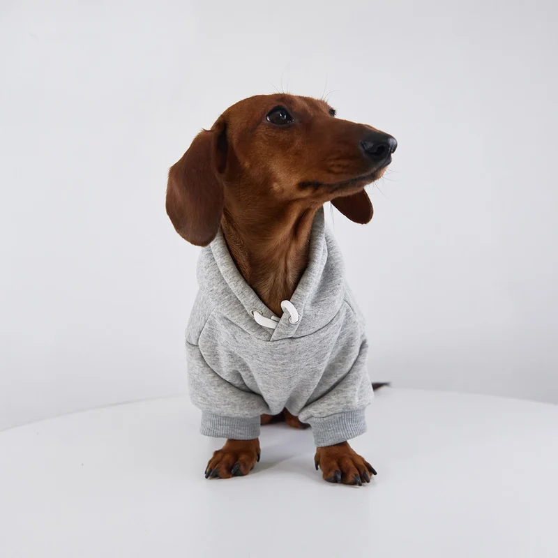 Sweat Coloré A Capuche Pour Chien Teckel