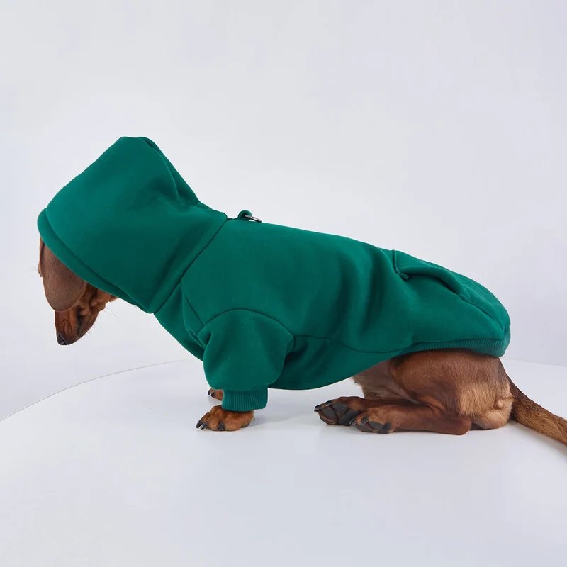 Sweat Coloré A Capuche Pour Chien Teckel