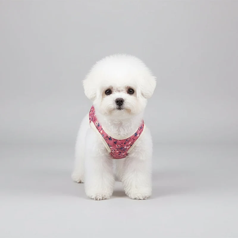 Gilet Pour Chien Imprimé Floral Et Coloré