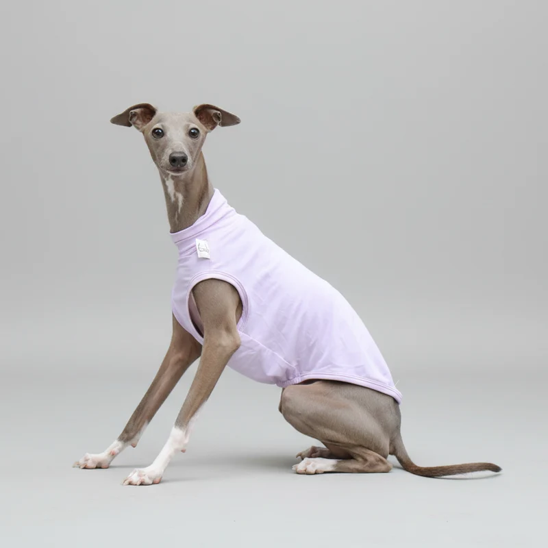 T-shirt De Protection Pour Lévrier Et Whippet