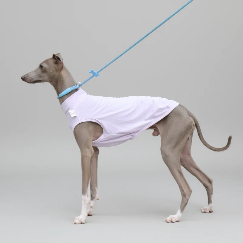 T-shirt De Protection Pour Lévrier Et Whippet