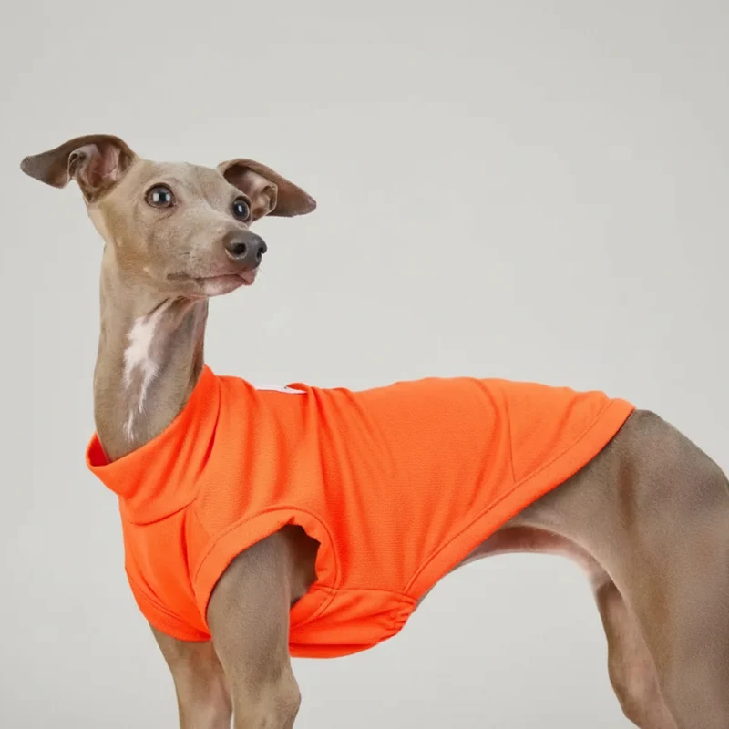 T-shirt Respirant Pour Chien Lévrier Et Whippet