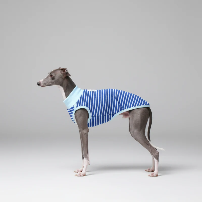 T-Shirt Sans Manche Pour Chien Whippet Et Lévrier