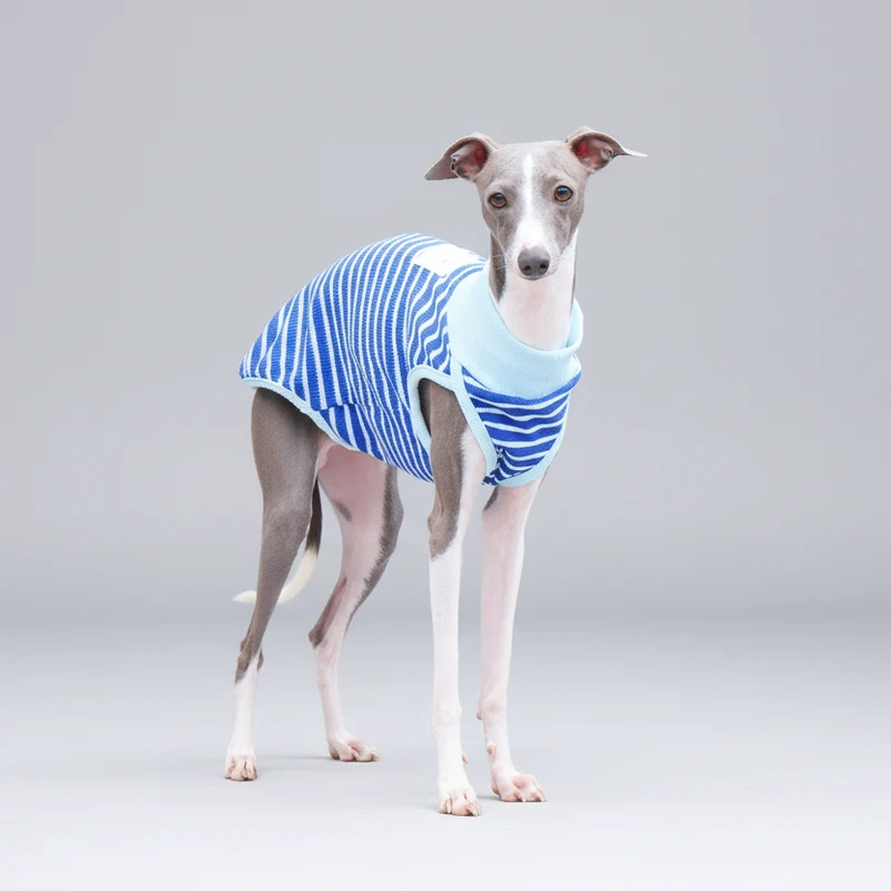 T-Shirt Sans Manche Pour Chien Whippet Et Lévrier
