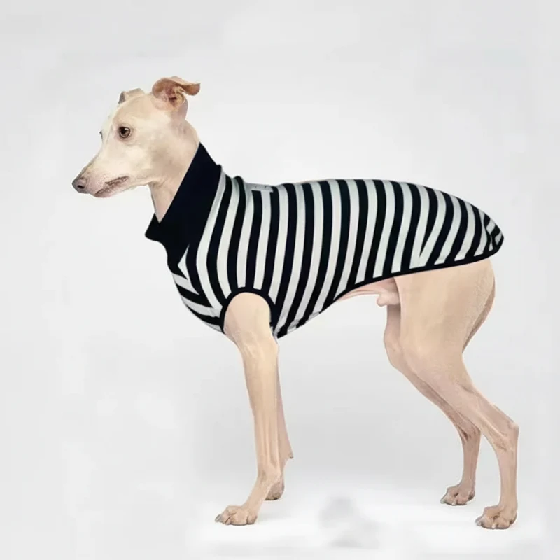 T-Shirt Rayé En Coton Pour Lévrier Et Whippet